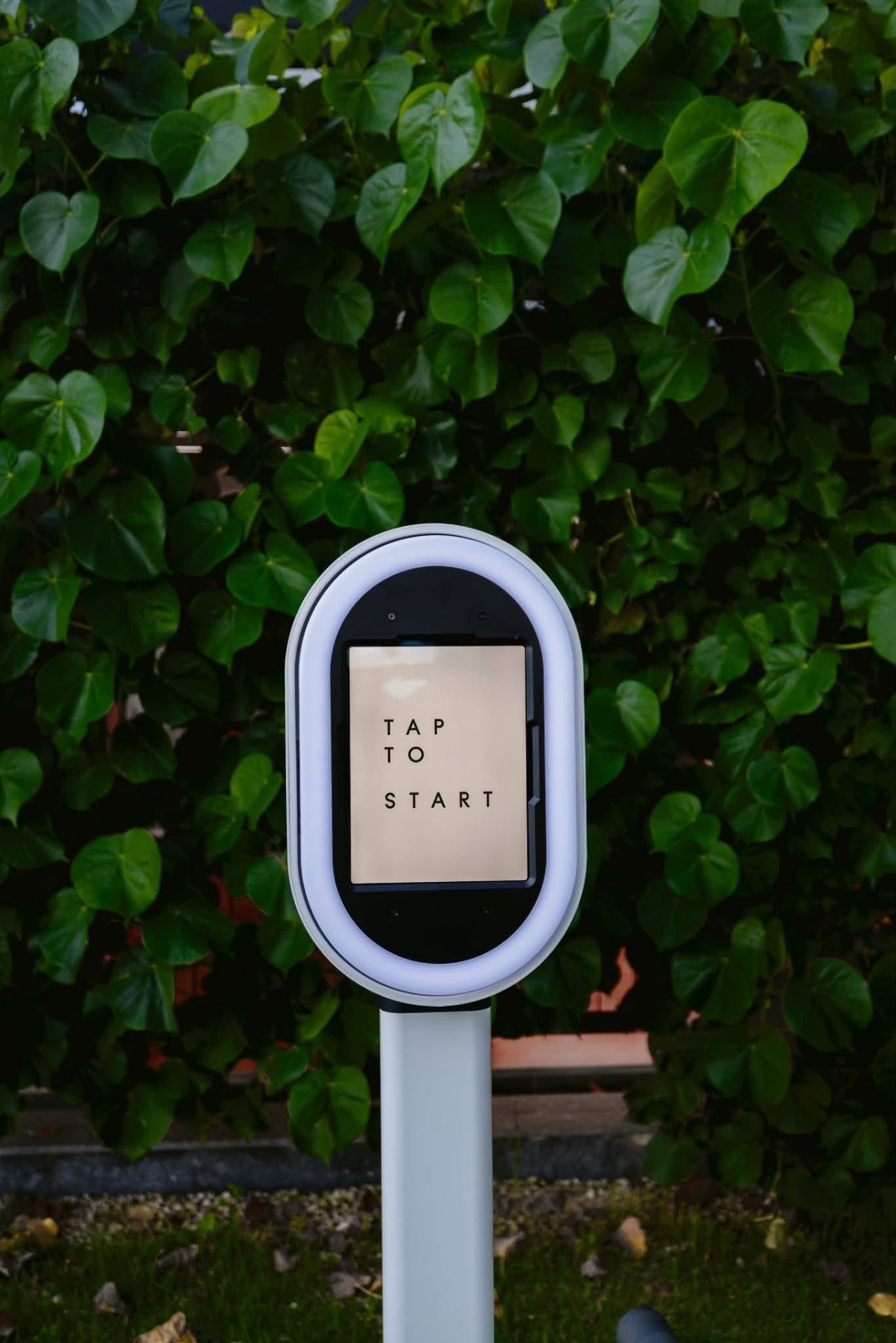 The Southern Snaps deluxe photo booth set against green leaves, its screen reading Tap to Start